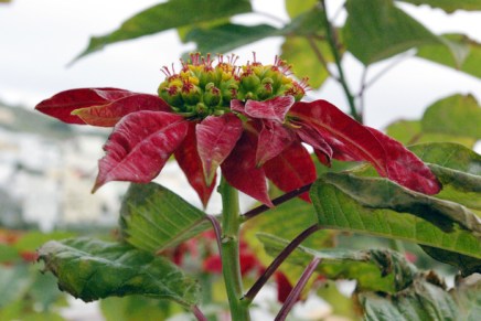 turisteina playa del&nbsp;inglésissä