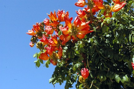 päiväretki puerto ricoon