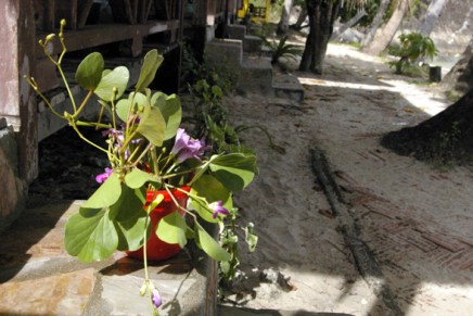 sä kasvoit neito&nbsp;kaunehin