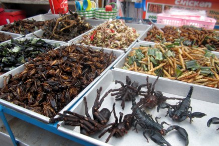 eksoottinen tervehdys bangkokista