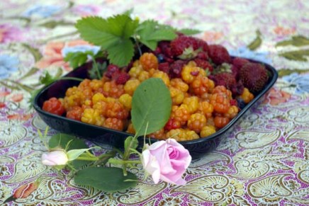 tuoretomaattikeittoa, lakkoja ja&nbsp;mansikoita