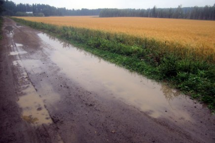 testikuvia sokeriliemessä uineella&nbsp;kameralla