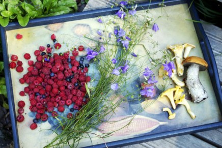 tuliaisia metsäretkeltä