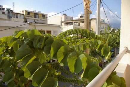 syysaurinkoa kosilla 2011