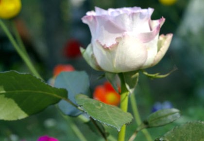 popup näyttelyn avajaistunnelmia