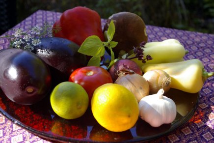 höyryävää munakoisopataa