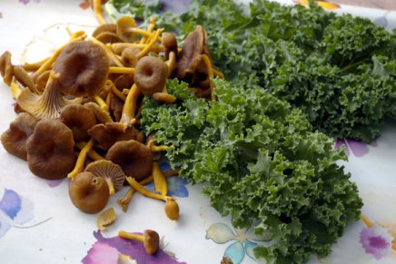 lähiruokaa metsästä ja&nbsp;kasvimaalta