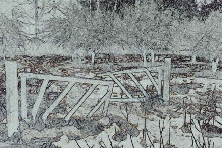 valokuvasta hiilipiirros