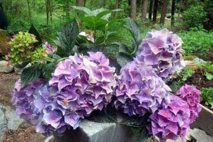 helteen jälkeen koleaa&nbsp;sadekeliä