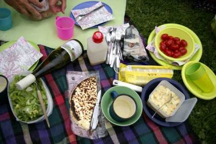 piknikillä linnajazzissa