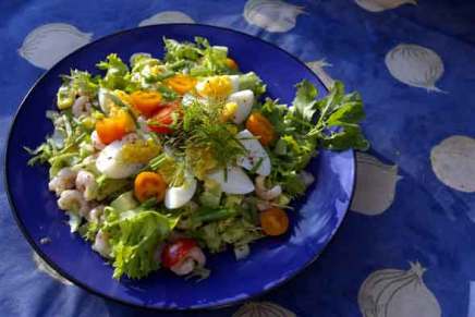 leenan lempisalaatti