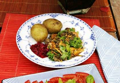 terveisiä sienimetsästä