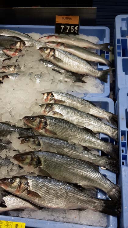 Lubina 7:75 kg