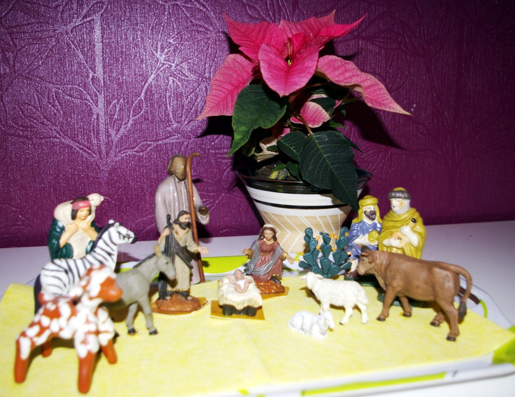 ESPANJASTA TUOTU SEIMI PÄÄSI KAUPUNKIKOTIIN