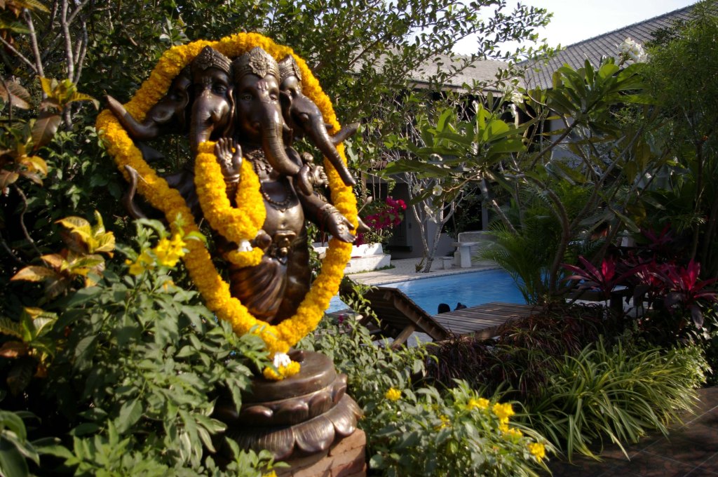 AASIAN EKSOTIIKKAA OMASSA PIHAPIIRISSÄ