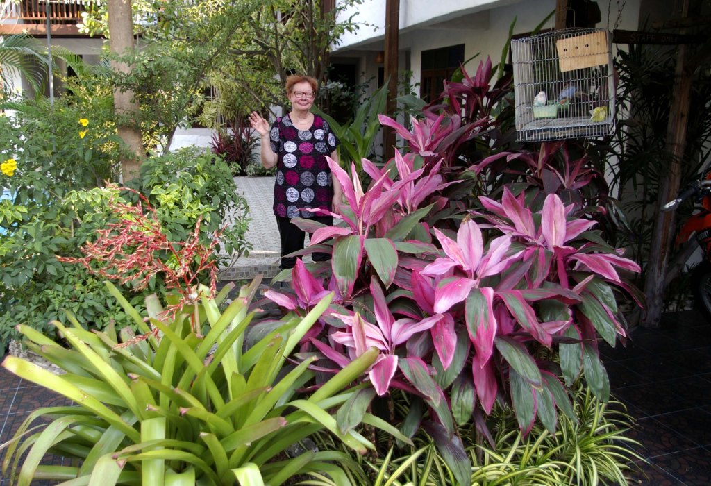 HOTELLIMME VÄRIKÄS PUUTARHA