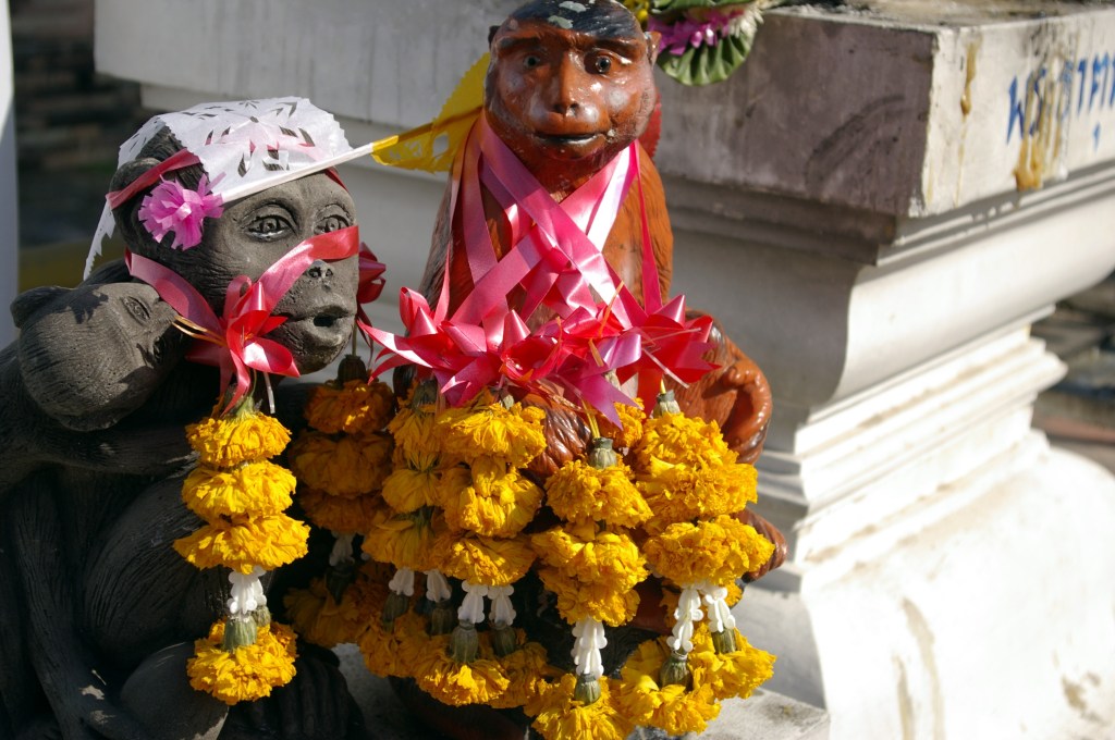 KUKITETTUJA APINOITA