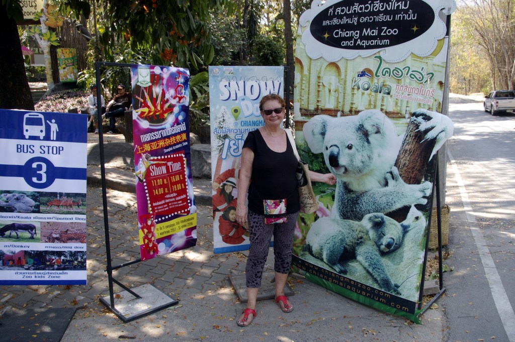 KOALAT LÖYTYIVÄT LASTENOSASTOLTA