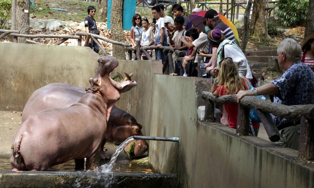 VIRTAHEVOILLA OLI VALTAVAT KIDAT