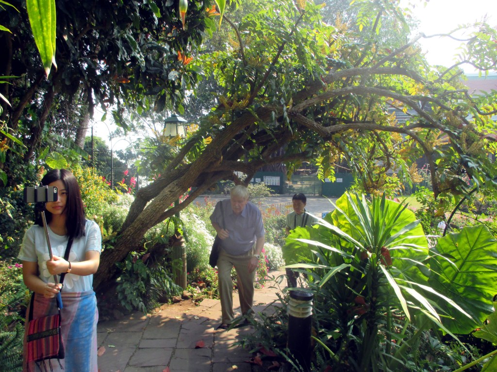 KIINALAISTYTTÖ OTTI SELFIEITÄ KOKO KIERROKSEN AJAN