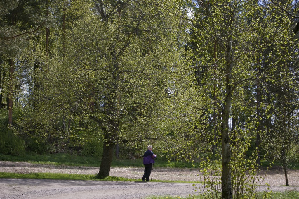 MAISEMA OLI HELEÄN VIHREÄ