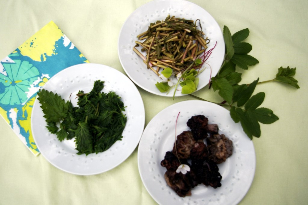 NOKKOSET, MAITOHORSMANVERSOT JA KORVASIENET ON RYÖPÄTTY