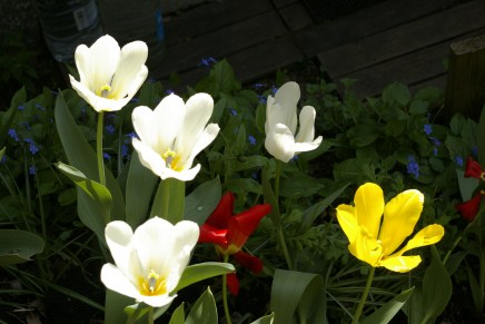 reippaita ja raittiita&nbsp;mökkipäiviä