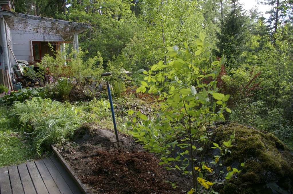 KYNÄJALAVAN TAKANA ON PAIKKA KESÄKUKILLE