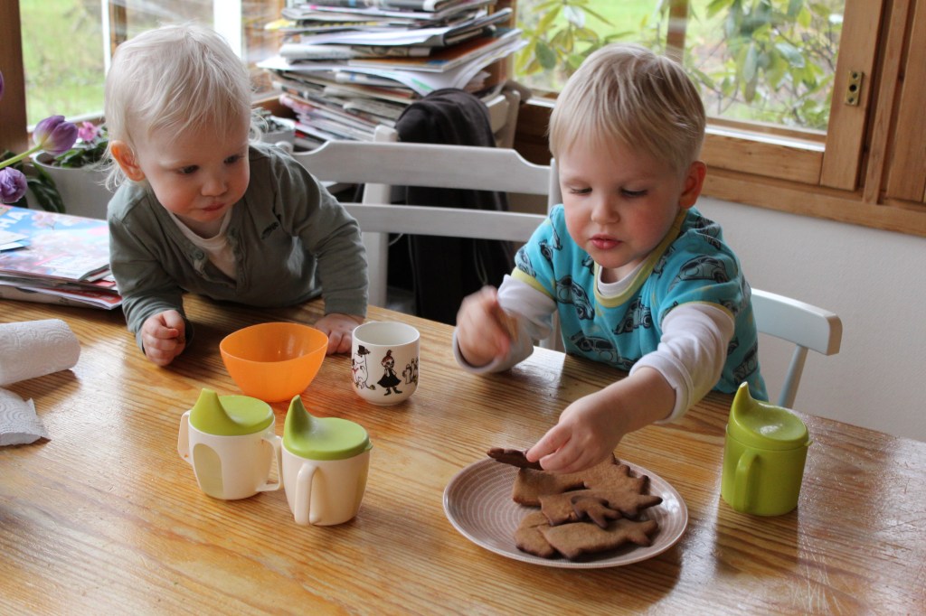 VISA JA OTSO MAISTELEVAT VASTAPAISTETTUJA PIPAREITA