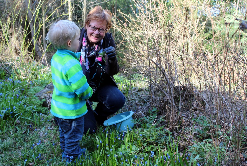 NOKKOSIA KERÄÄMÄSSÄ