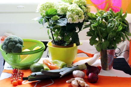 hittidieetti 5:2 jatkui