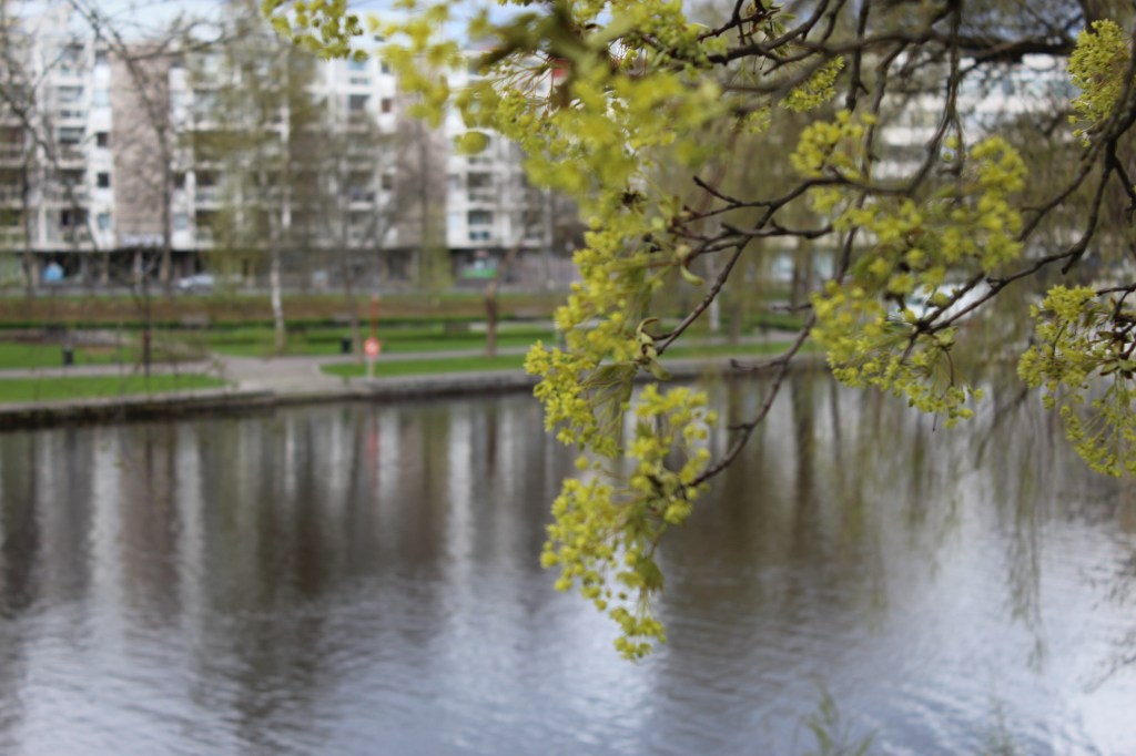 GALLERIA PAPERIHUONE NÄKYVISSÄ LAHDEN RANNALLA ARVI KARISTONKADULLA