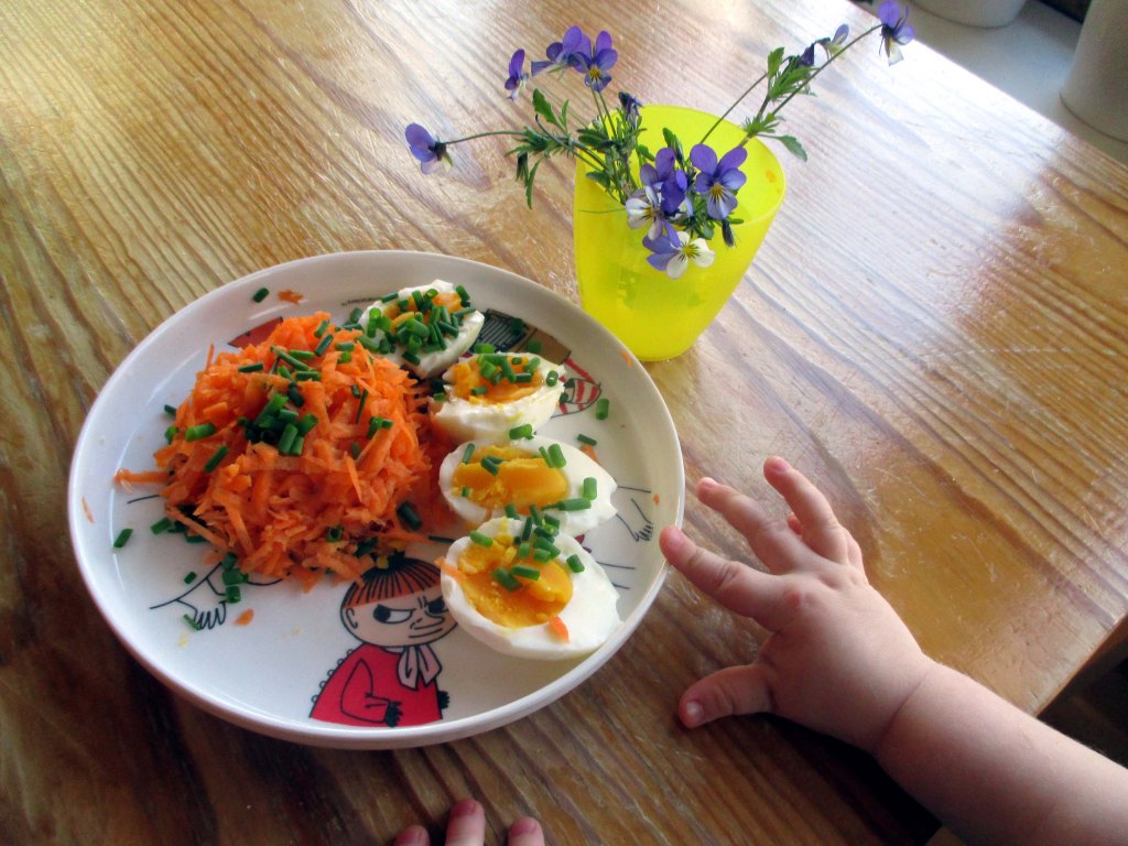 PIKKU-VISA OLI KIINNOSTUNUT MUMMIN LOUNASHERKUISTA