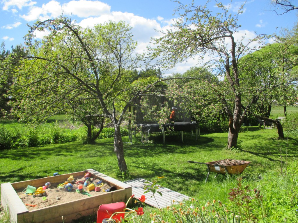 AKTIVITEETTEJA, HIEKKALAATIKKO JA TAUSTALLA OTSO HYPPII TRAMBOLIINILLA