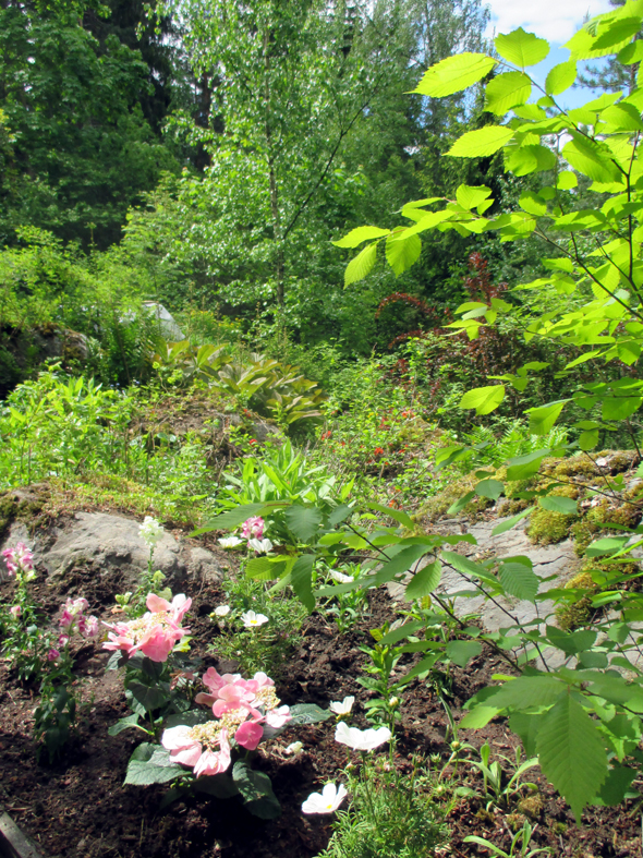 KUKKATARHA OLI VIIKON KULUTTUA TÄMÄN NÄKÖINEN