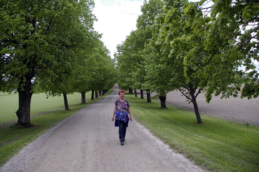 SUONTAAN KARTANON HIENO LEHMUSKUJA