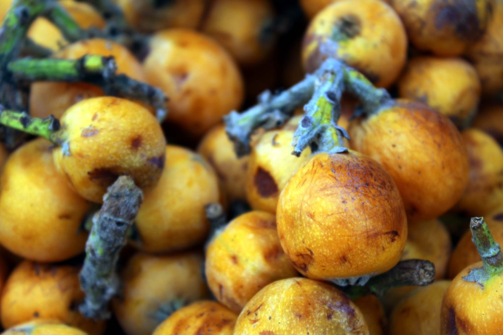 NÄMÄ EIVÄT OLLEET APRIKOOSEJA