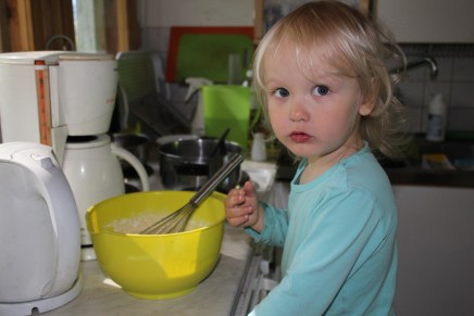 lohikeittoa, lettuja ja&nbsp;soijanakkeja