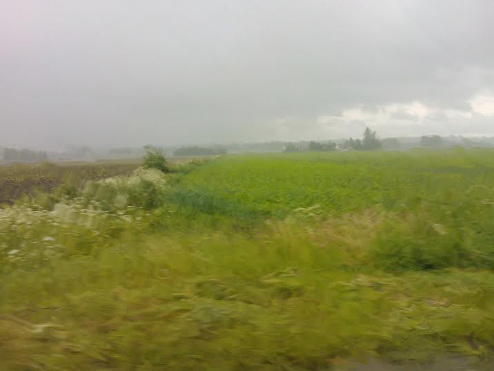 NÄKYMÄ AUTON IKKUNASTA SATEISELLE PELLOLLE