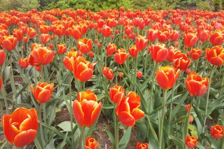 galleria paperihuoneelle on helppo&nbsp;poiketa