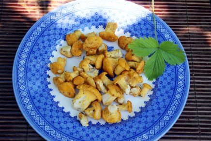 helppoa mökkiruokaa