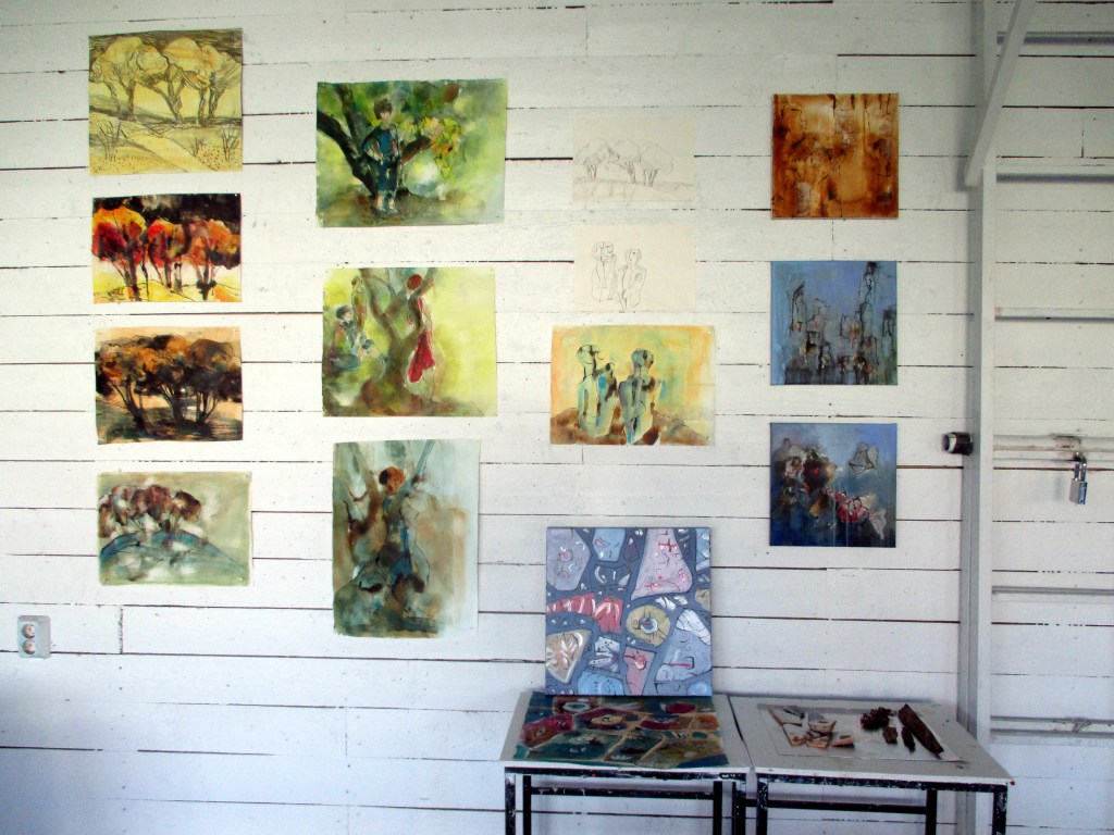 VIIKON AHKEROINNIN TULOKSET NÄYTTELYSEINÄLLÄ