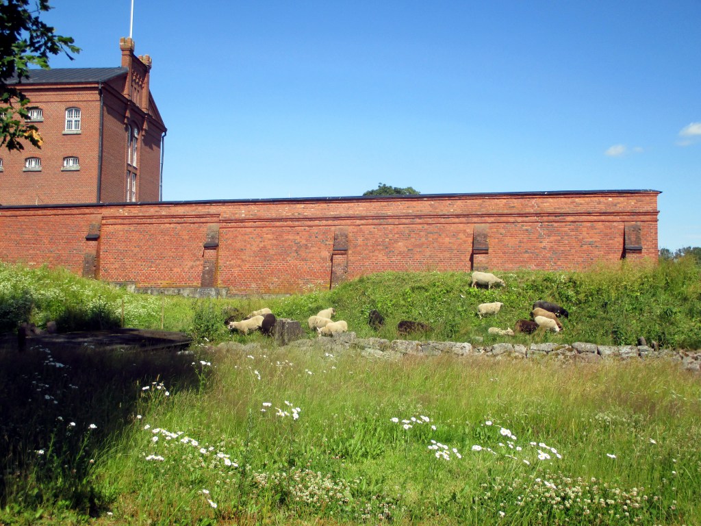 RUOHONLEIKKUREITA HÄMEEN LINNAN KUPEESSA