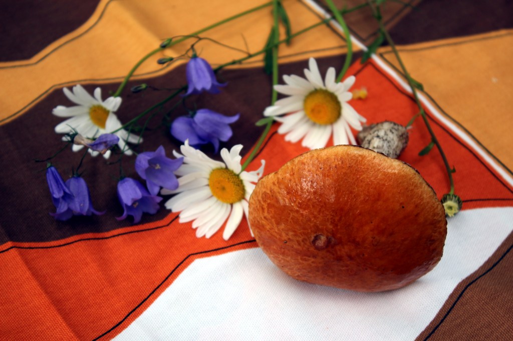 KESÄN ENSIMMÄINEN PUNIKKATATTI