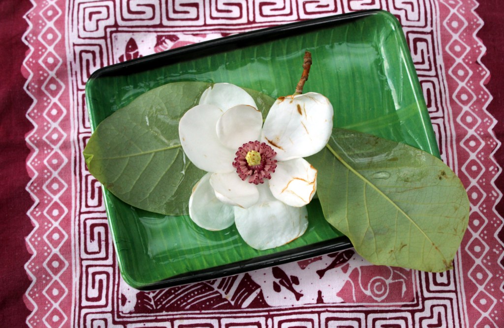 MÖKKINAAPUREIDEN PIHASSA KUKKII MAGNOLIA