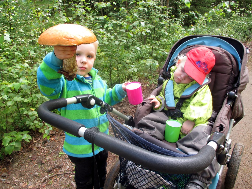 OTSO LÖYSI ISON TATIN JA VISA NUKAHTI KESKEN RETKEN