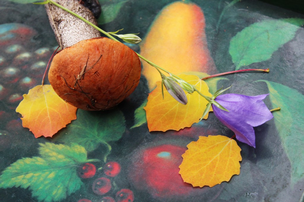 TÄNÄÄN LÖYTYI KESÄN TOINEN PUNIKKITATTI