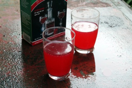 tein sulle kotiviinin