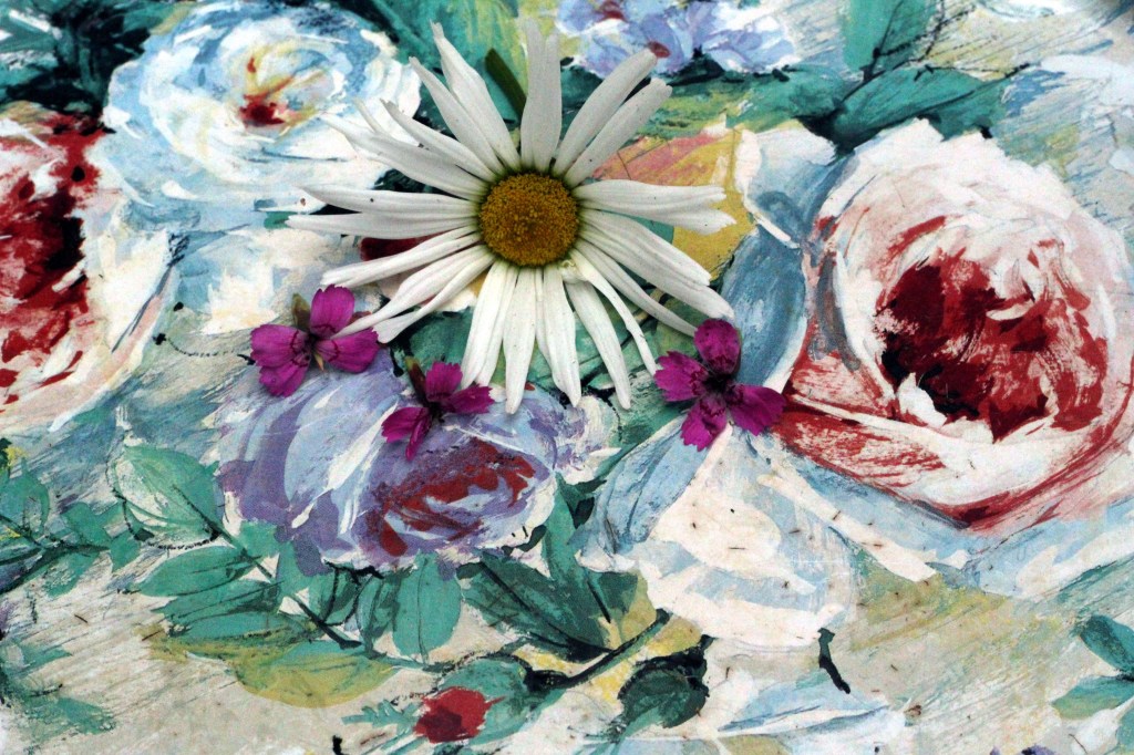 ENSIMMÄINEN TAIDEVALOKUVANI KESÄKUVA2015-SARJASSA