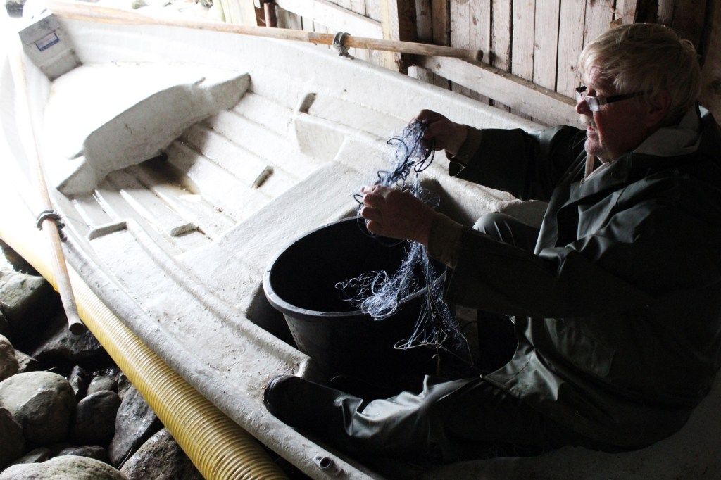 KALAMIES SELVITTI VERKKOJA